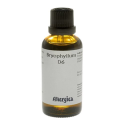 Allergica Bryophyllum D6, 50ml