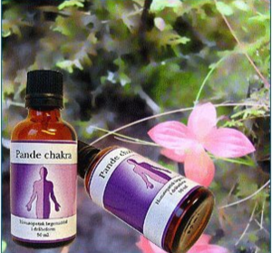 Holistica-Medica Pande chakra, 50ml