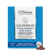 Mezina Aquaminum, 90tab.