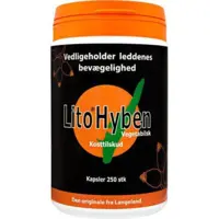 Lito Hyben Vegetabilsk kapsel 250kap x 500mg