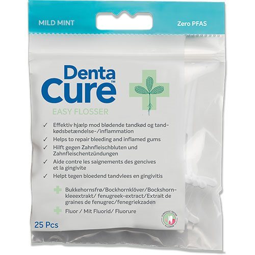 DentaCure Easy flosser